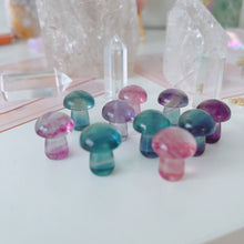 Load image into Gallery viewer, Mini Magic Mushroom