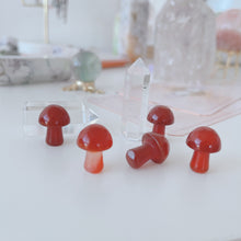 Load image into Gallery viewer, Mini Magic Mushroom