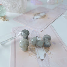 Load image into Gallery viewer, Mini Magic Mushroom