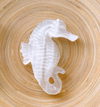 Load image into Gallery viewer, Selenite Seahorse