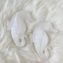 Load image into Gallery viewer, Selenite Seahorse