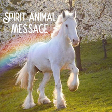 Load image into Gallery viewer, 🦋Spirit Animal  Message - Oracle Reading🦋
